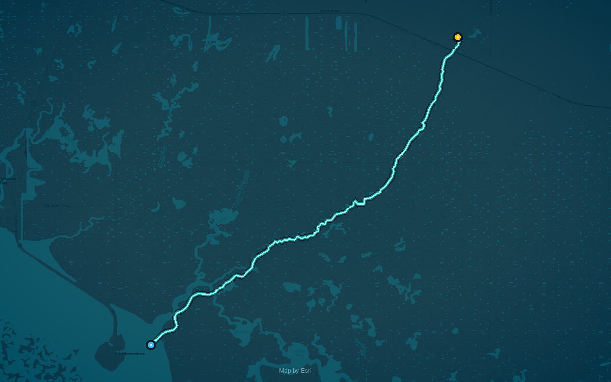 Paddle route map for Turner River