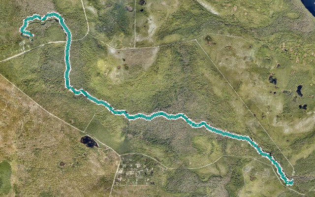Alexander Springs Creek