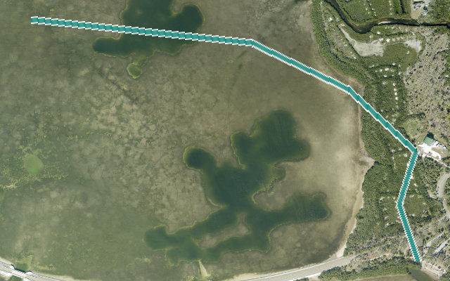 Anclote Trail / Brooker Trail