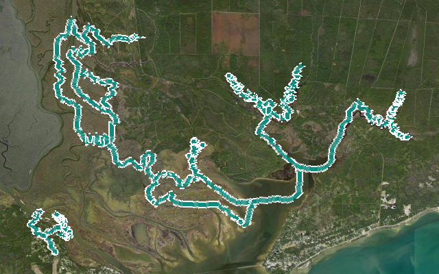 Apalachicola River Wildlife And Environmental Area Trail