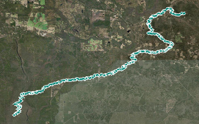 Aucilla River State Trail