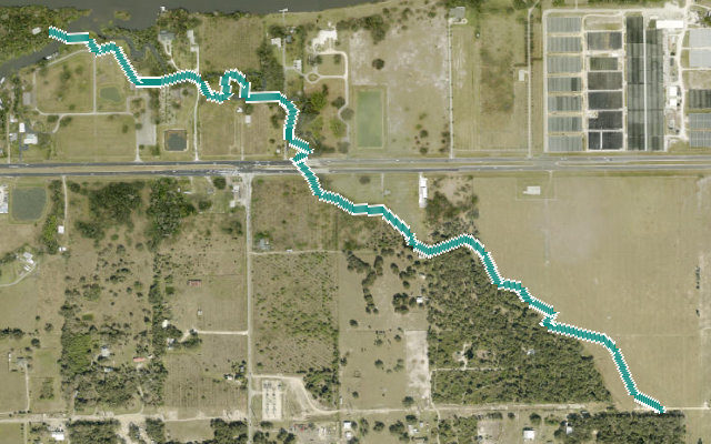Bedman Creek Trail