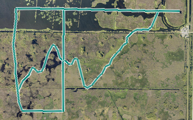 Blue Cypress Conservation Area Trail