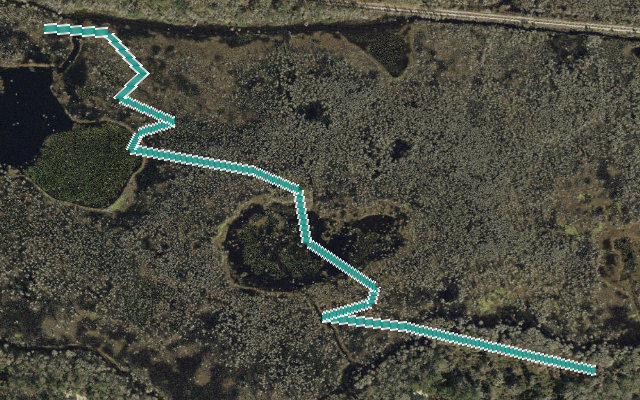 Cypress Branch Trail