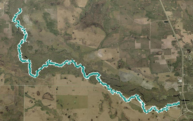 Fisheating Creek Wildlife Management Area Trail