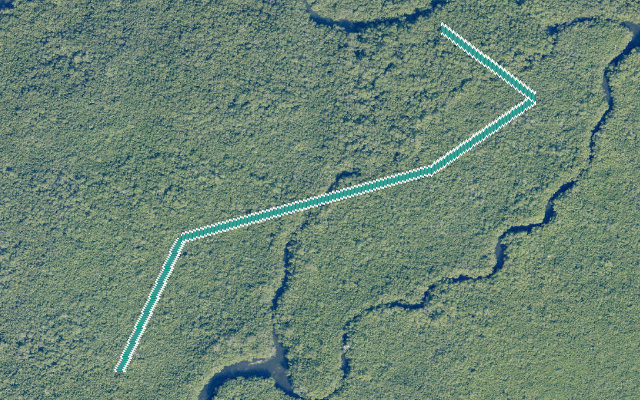 Limbo Creek