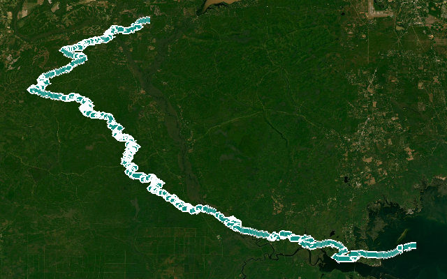 Lower Ochlockonee River State Trail