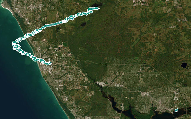 Myakka River Trail