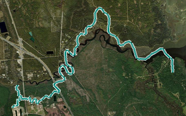 Pellicer Creek