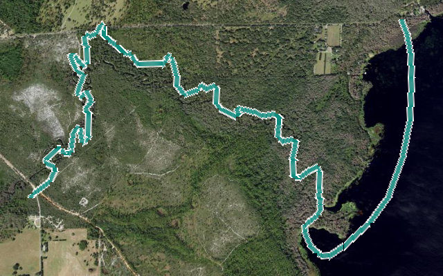 Reedy Creek Trail