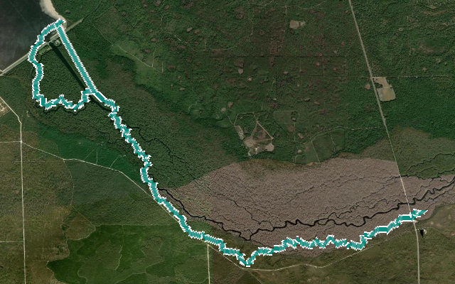 Rodman Dam Trail / Ocklawaha River Trail