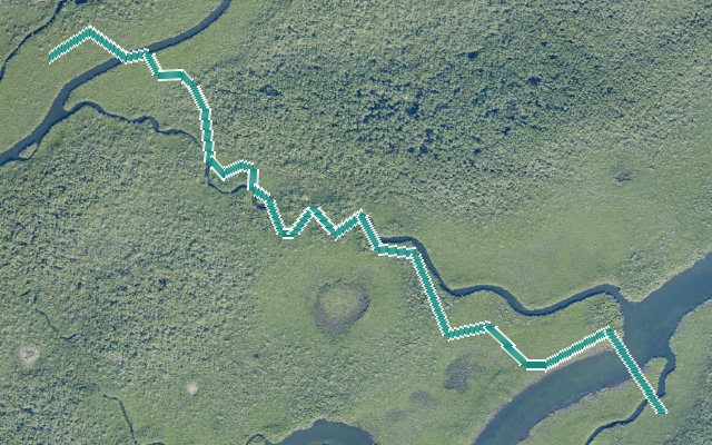 Taylor Creek Cutoff