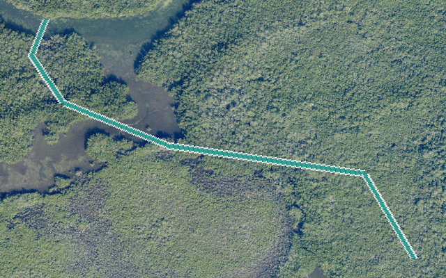 The Ditch