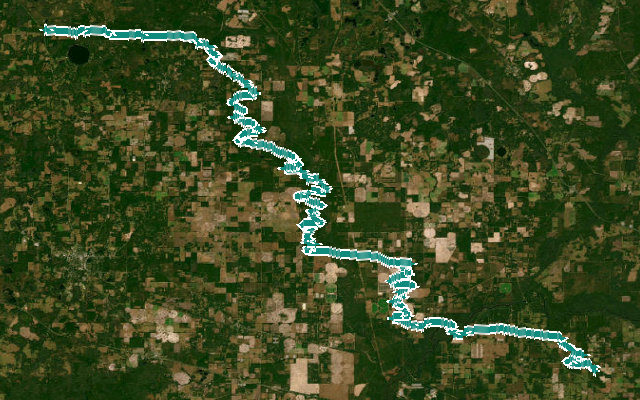 Withlacoochee River North Trail