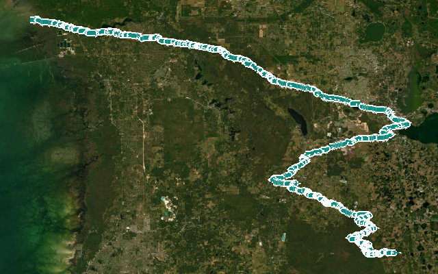 Withlacoochee River South Trail