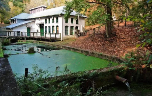 Boulware Springs