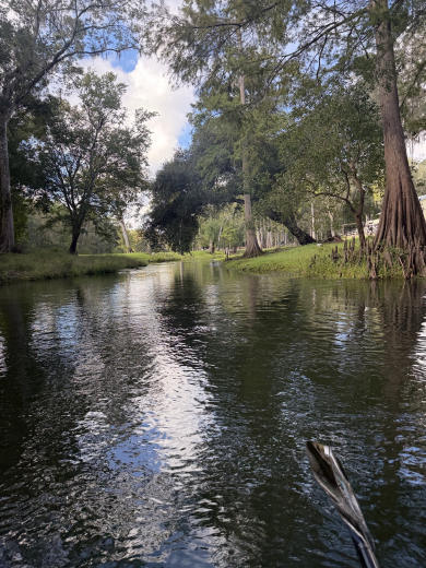 Wilson Spring